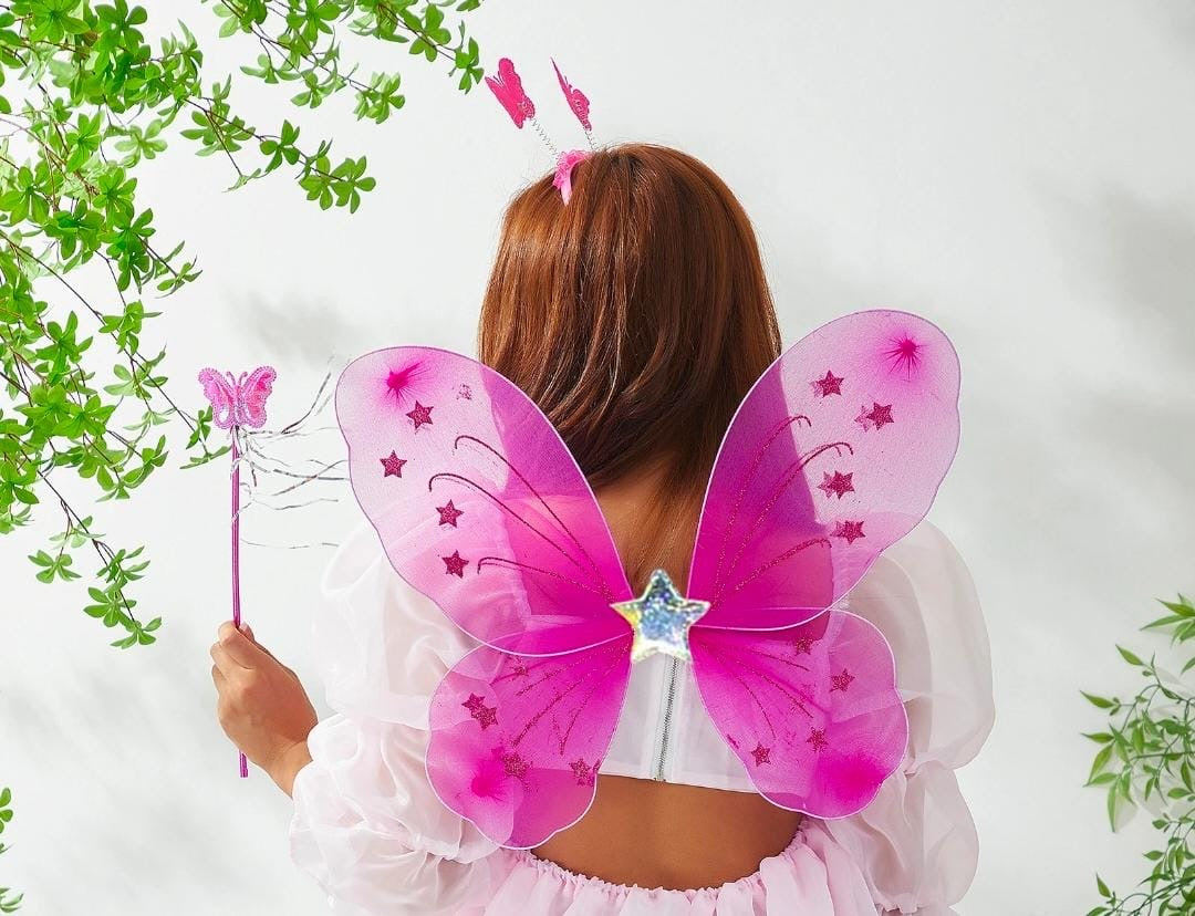 Disfraz de mariposa