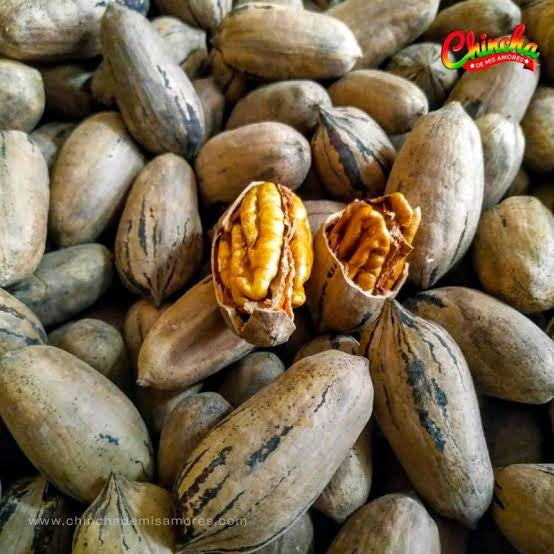 Pecana entera con cáscara seca