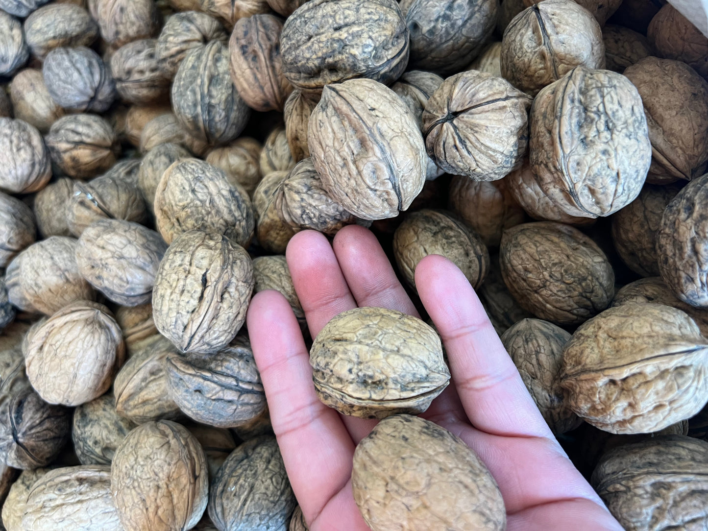 Nueces enteras