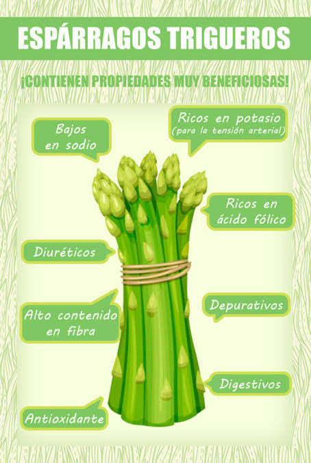 Espárragos de ICA