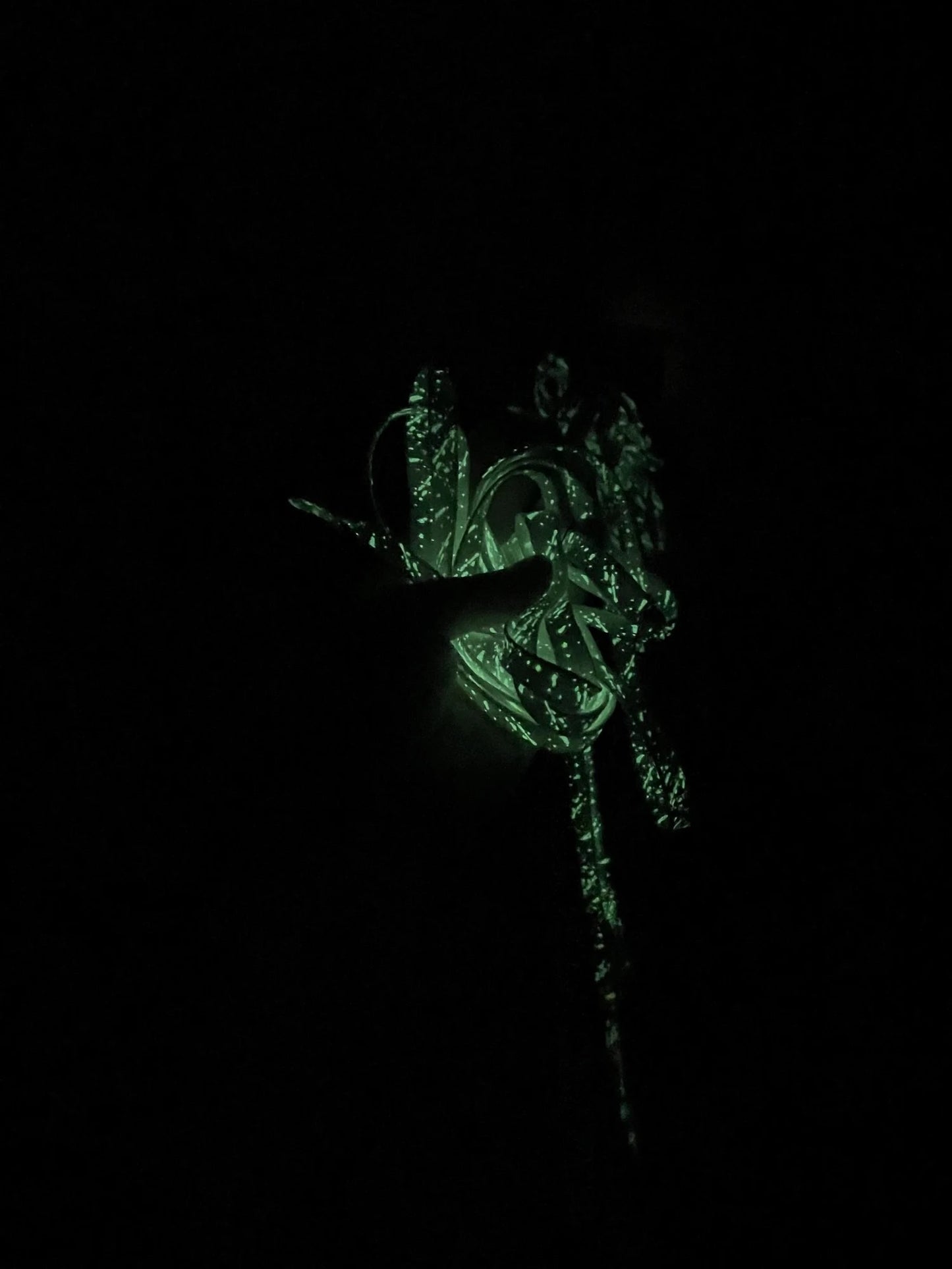 Pasadores luminosos (fluorescentes)