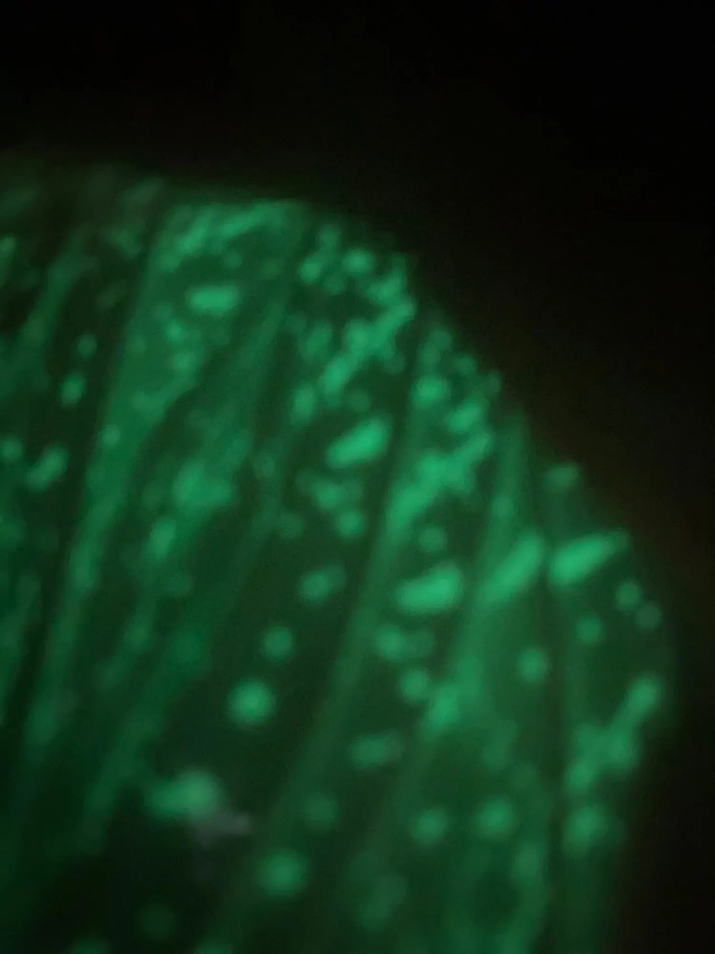 Pasadores luminosos (fluorescentes)