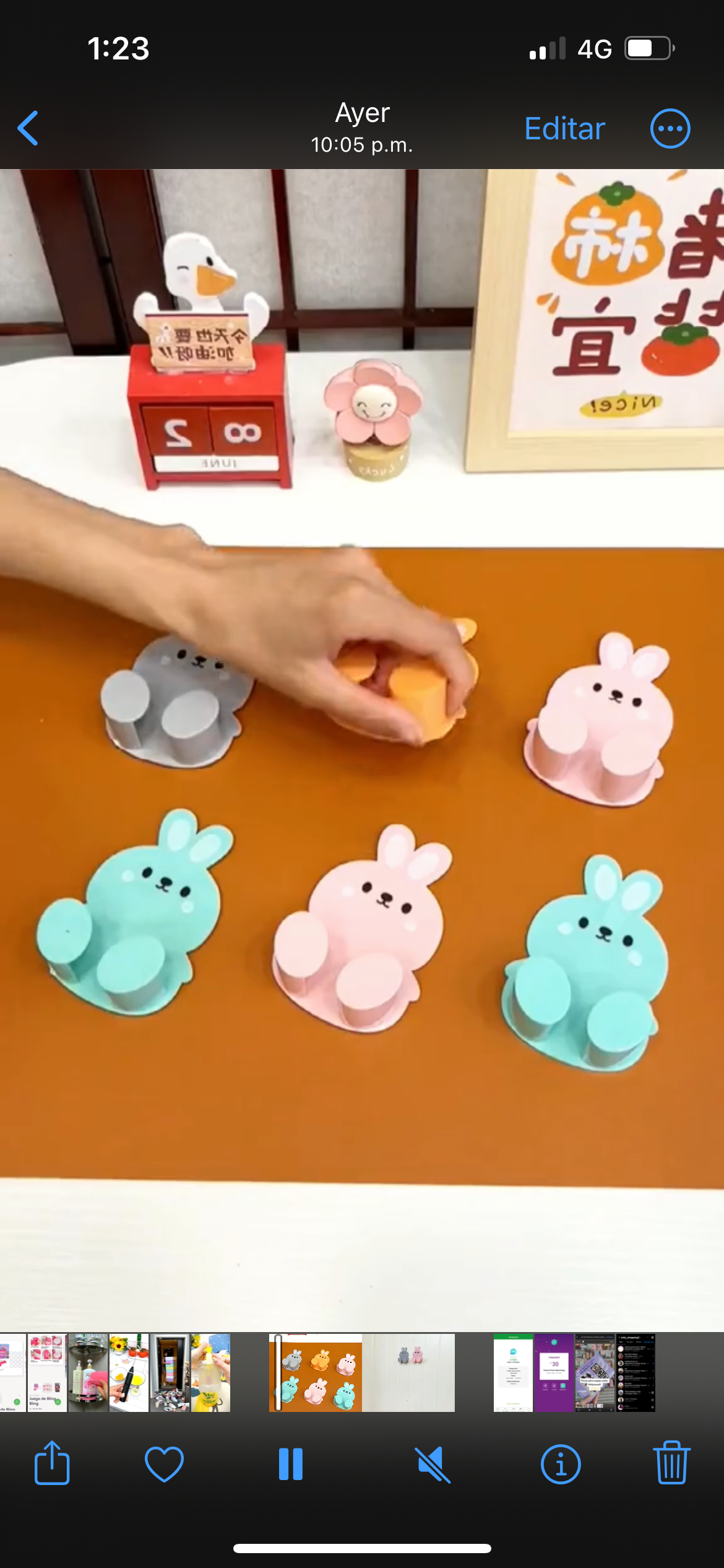 Organizador conejito (set 5 unidades)