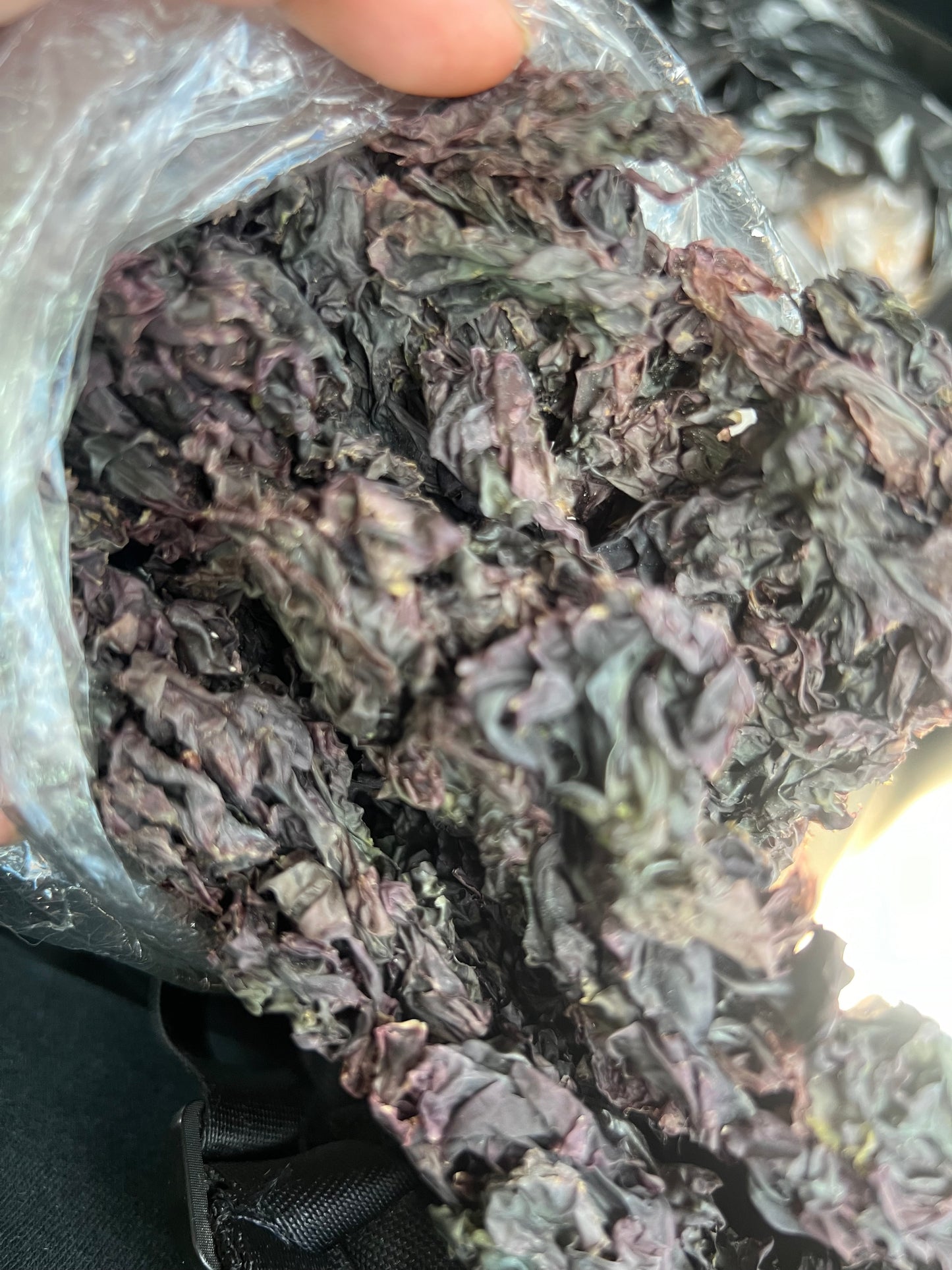 Algas cochayuyo seca 3 líneas