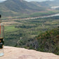 Pisco Italia  Acuache
