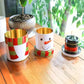 Latas navideñas