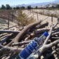 Pisco puro Quebranta Acuache