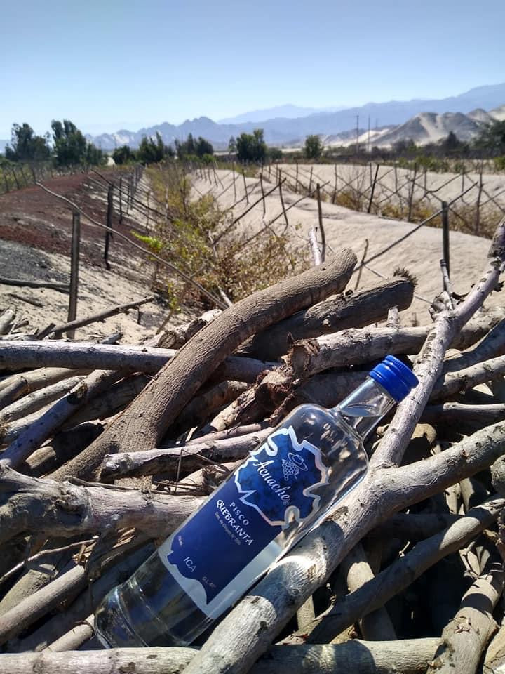 Pisco puro Quebranta Acuache