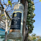 Pisco Quebranta ( Aventura de amor )