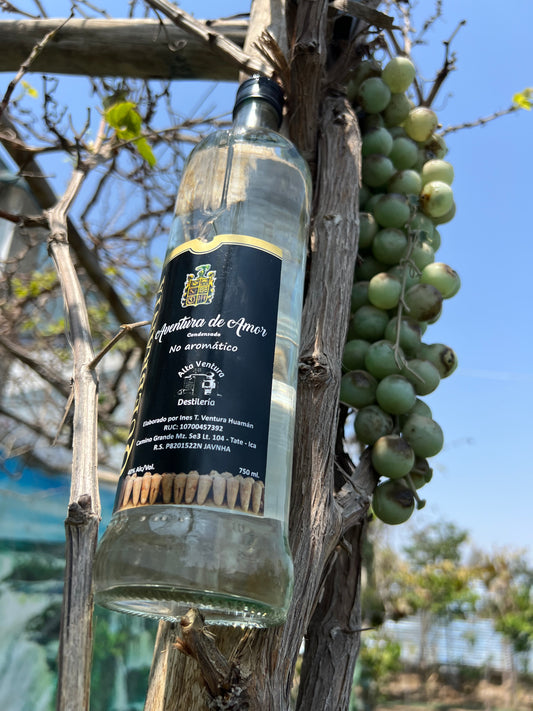 Pisco Quebranta ( Aventura de amor )