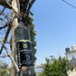 Pisco Quebranta ( Aventura de amor )