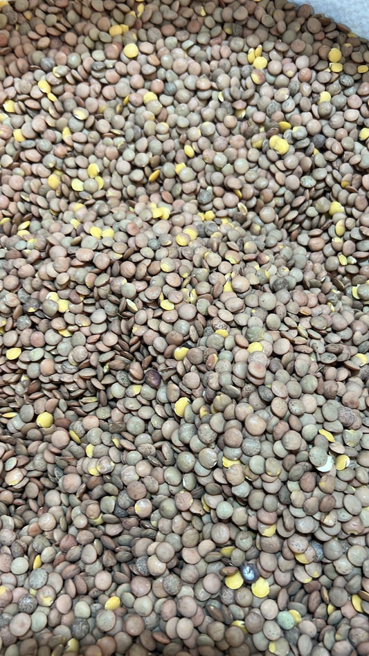 Lenteja Americana ( ICA - 1 kilo)