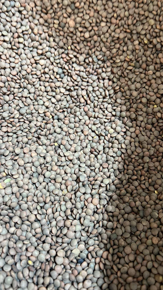 Lenteja pardina  ( ICA 1 kilo)