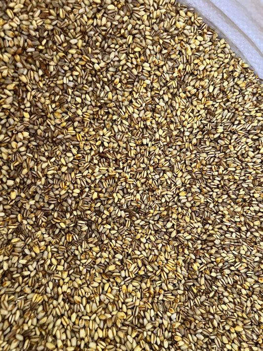 Trigo Amarillo de ICA ( kilo )