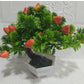 Bonzai con fruto artificial
