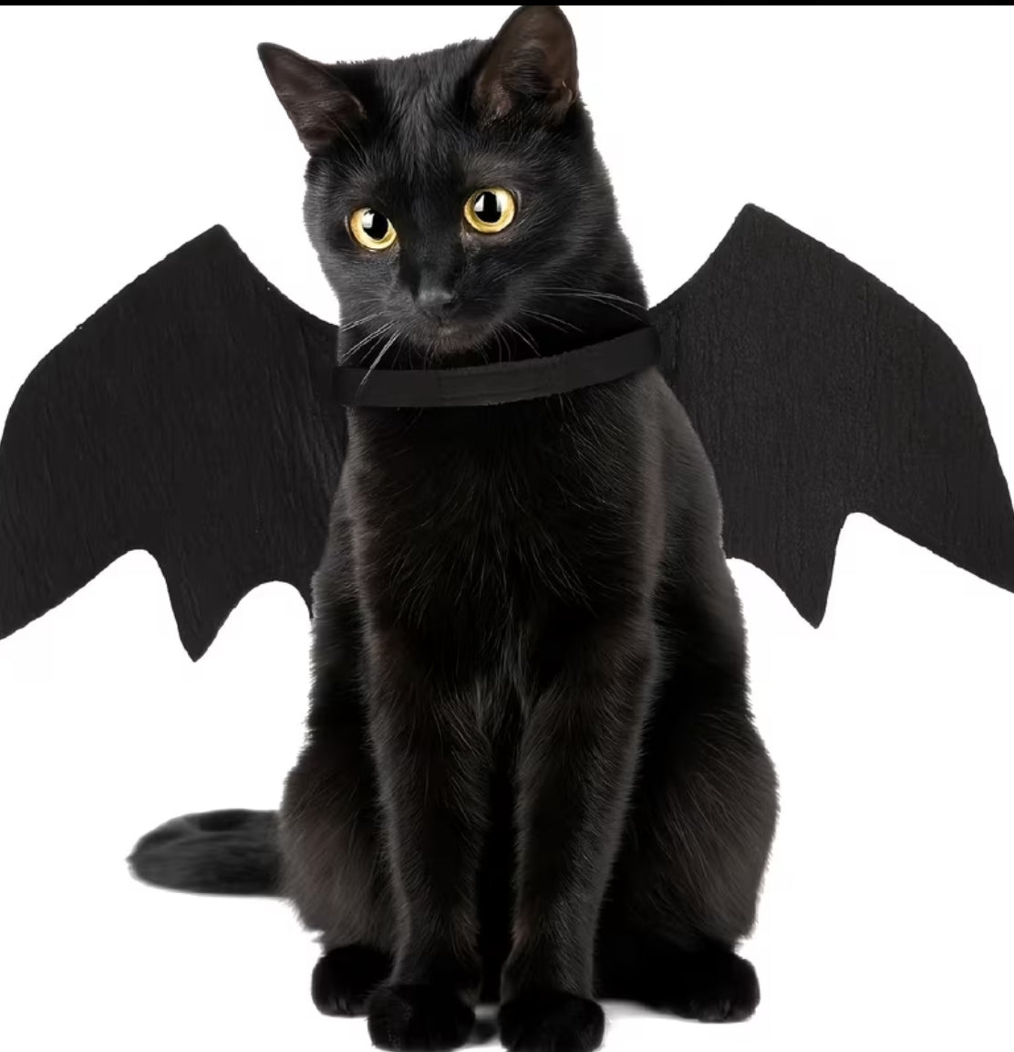 Disfraz para gatito // talla standars