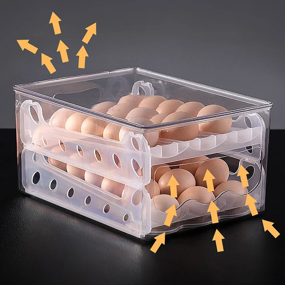 Estante de huevos