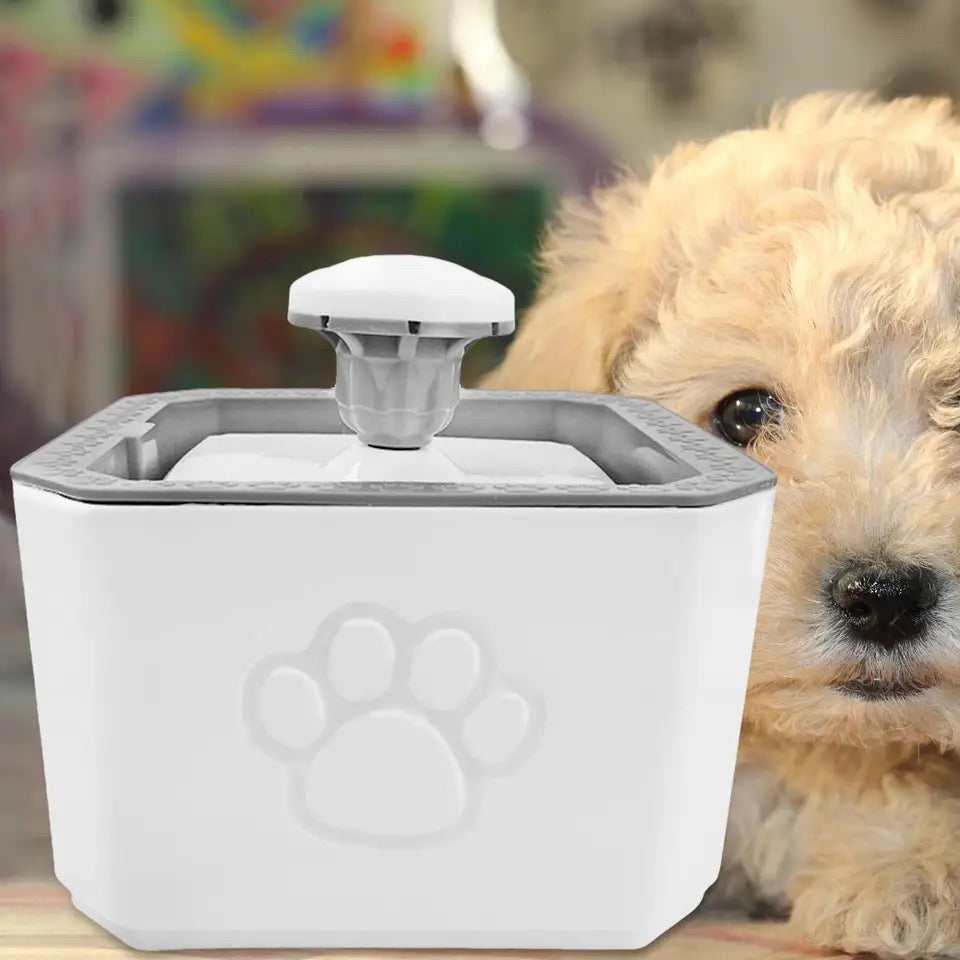 Fuente de agua para Gatos y perros pequeños