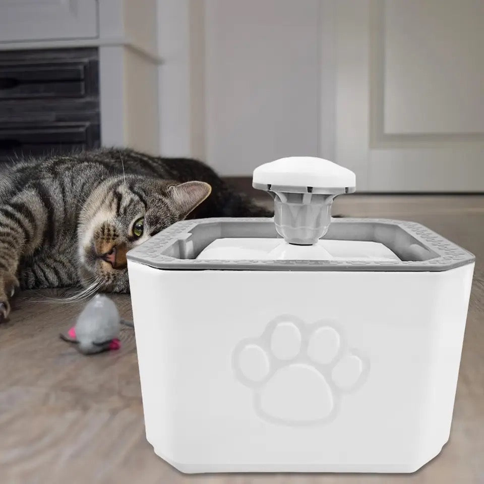 Fuente de agua para Gatos y perros pequeños
