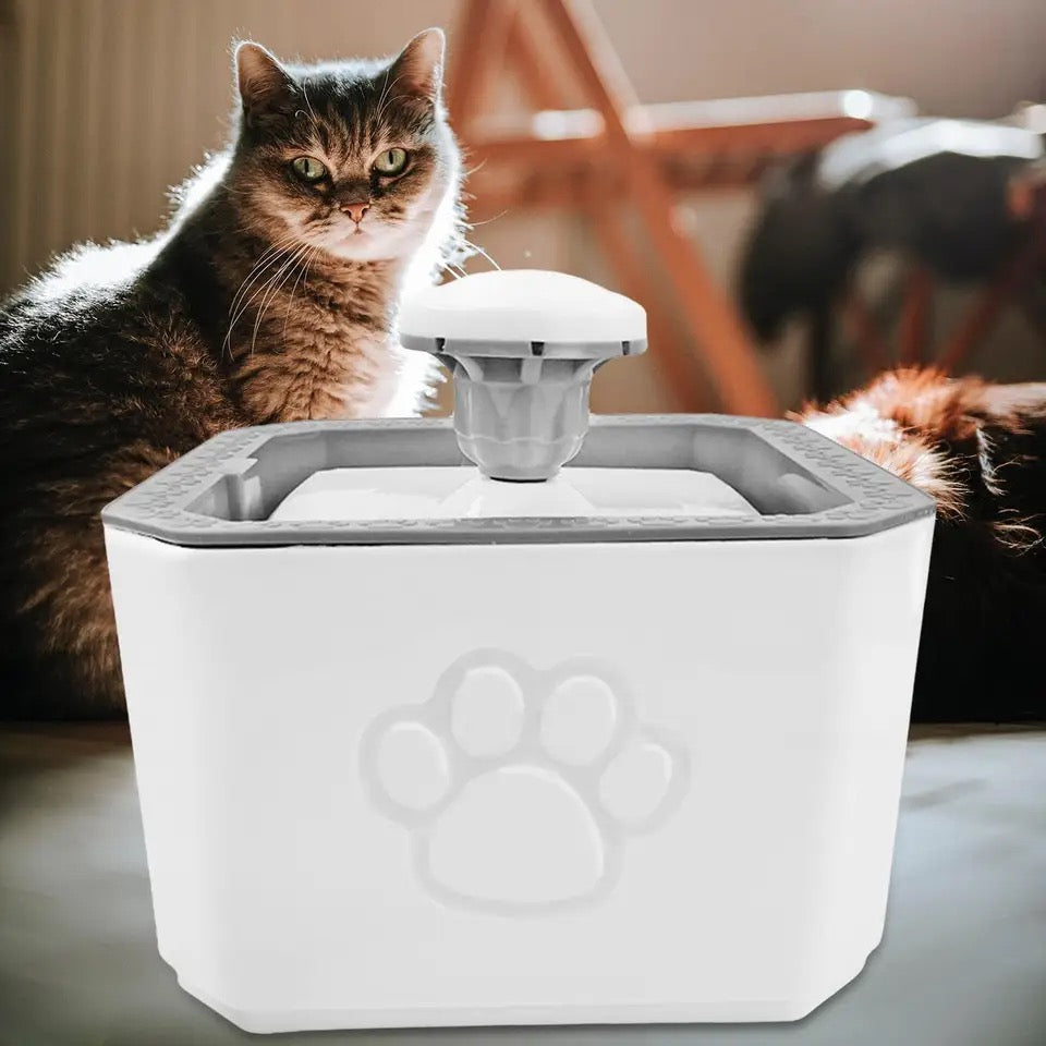 Fuente de agua para Gatos y perros pequeños