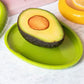 Caja de conservación palta