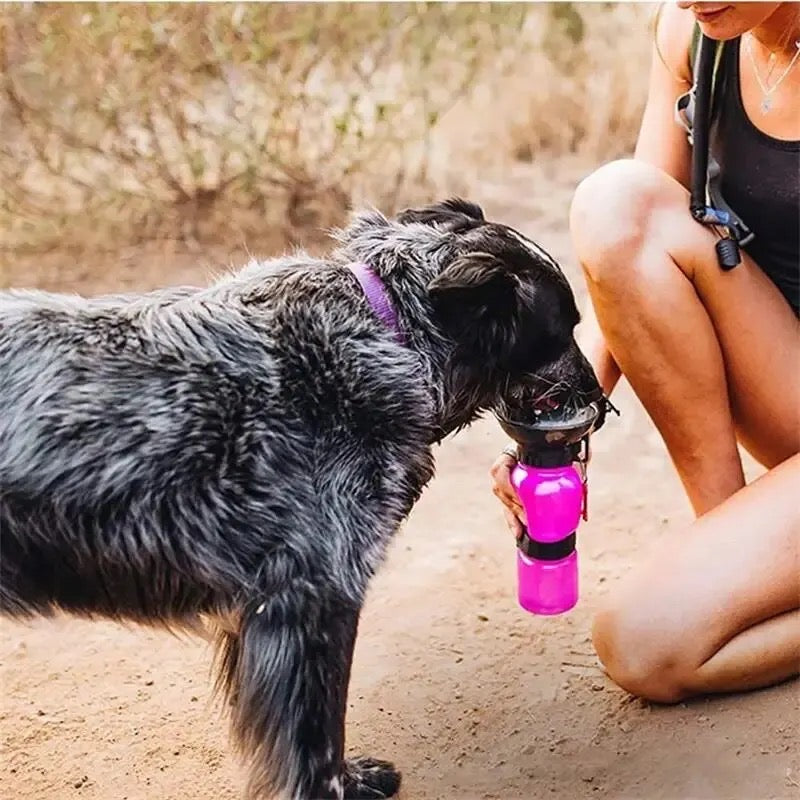 Botella de agua para mascotas