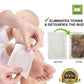 Parches kinoki (10 pc)
