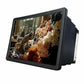 Amplificador  3D
