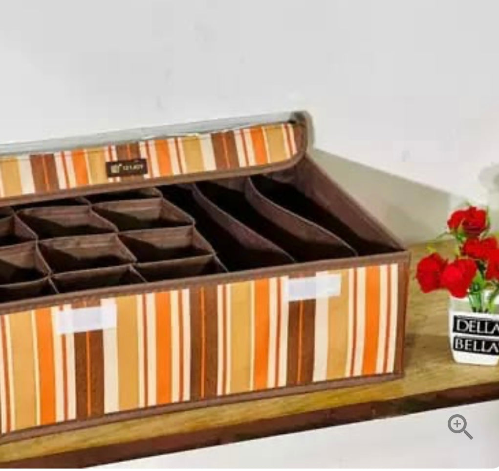 ORGANIZADOR DE CAJA DE ROPA INTERIOR