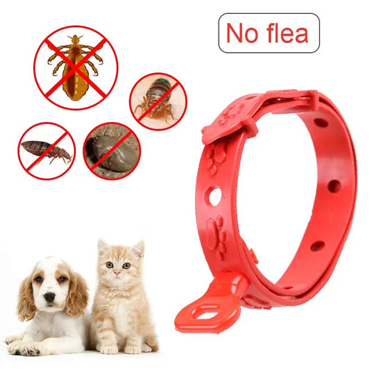 Collar anti pulgas