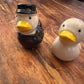 Saleros  pareja de patitos